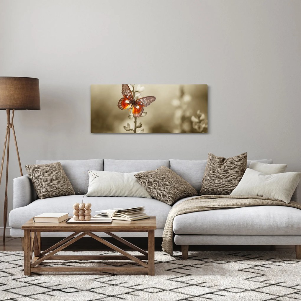 Obraz motýľa (120x50 cm)