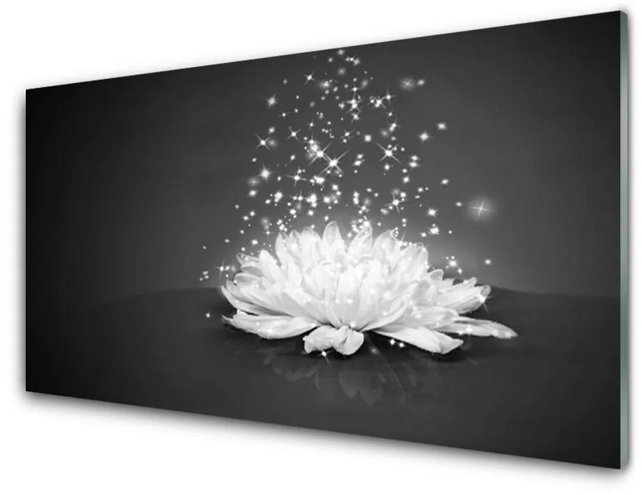 Obraz na akrylátovom skle Kvet rastlina príroda 125x50 cm