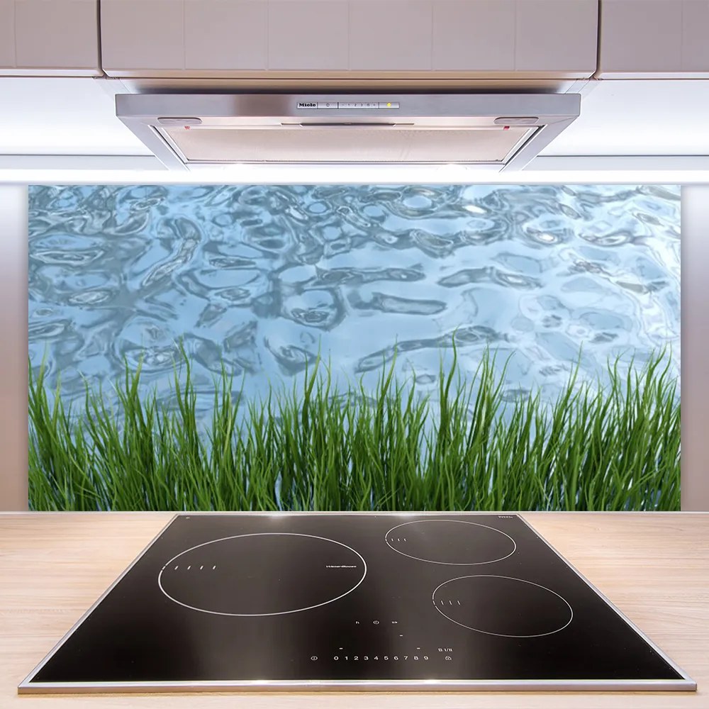 Sklenený obklad Do kuchyne Tráva voda príroda 125x50 cm