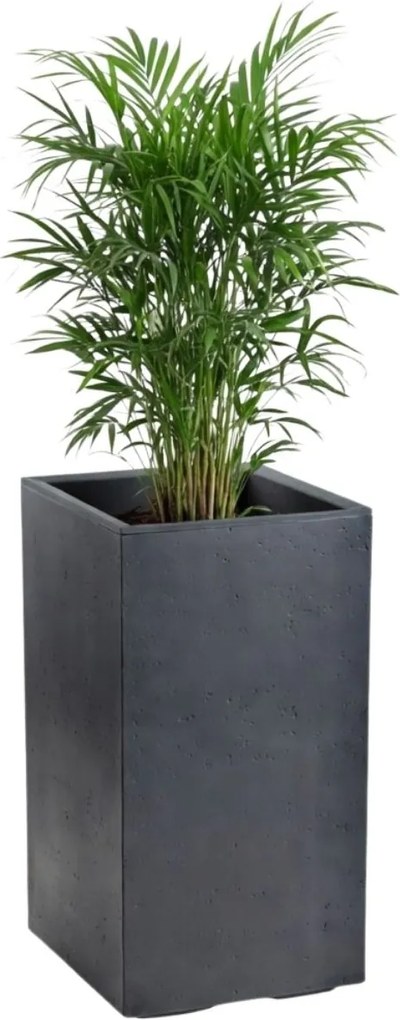 Sada 2 ks květináčů BETONIQUE 30x30/30x60 cm - výber z 4 prevedení