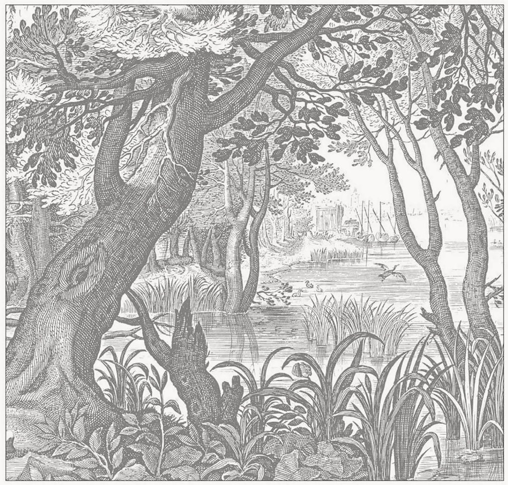 Vliesová tapeta Engraved Landscapes