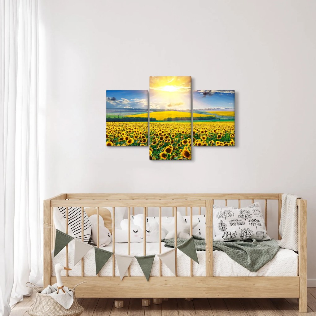 Obraz - Pole slnečníc (90x60 cm)