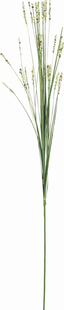 XXXLutz DEKORAČNÁ TRÁVA 70 cm - Kvety & kvetináče - 0041770134