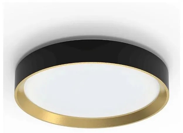 Philips - LED Stmievateľné stropné svietidlo HANNO LED/24W/230V 2700K čierna