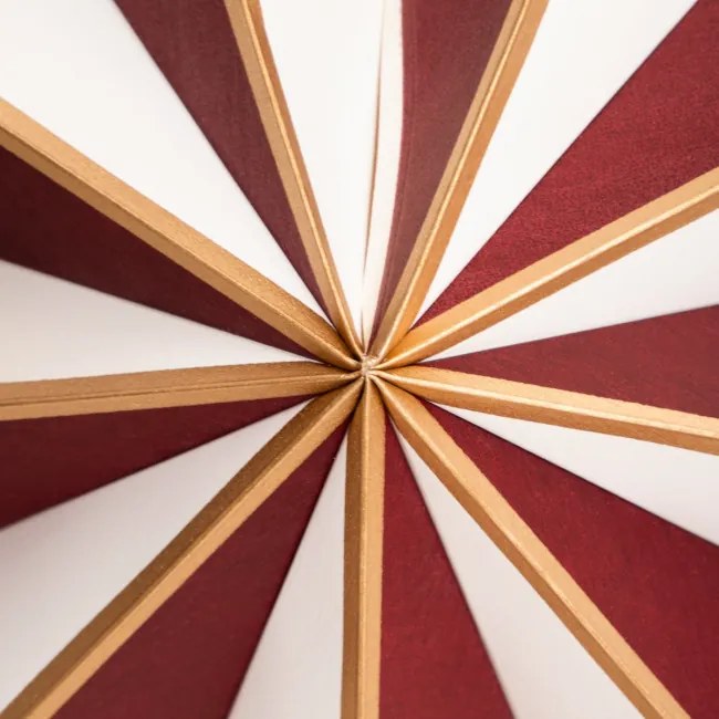 Vianočná dekorácia GALLA Star 754654