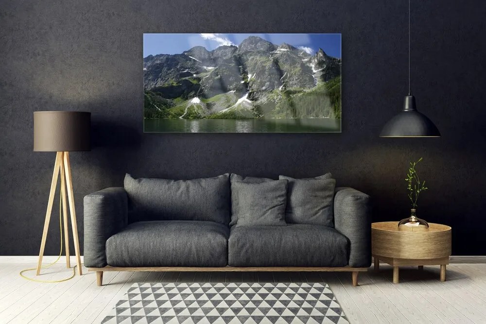 Obraz plexi Hory jazero les príroda 120x60 cm