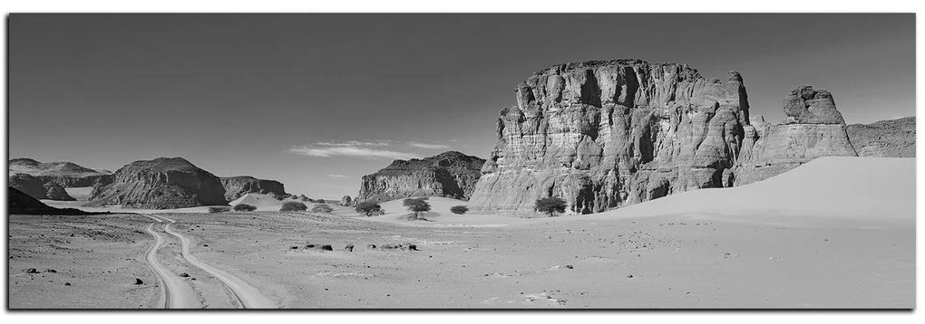 Obraz na plátne - Cesta v púšti - panoráma 5129QA (105x35 cm)
