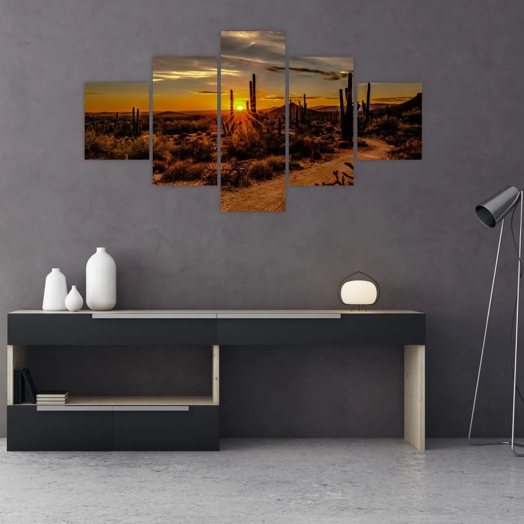 Obraz - Koniec dňa v arizonskej púšti (125x70 cm), 40 ďalších rozmerov