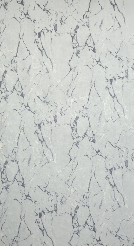 ZATEMŇOVACÍ ZÁVES NA KRÚŽKOCH WERA 140X250 CM STRIEBORNÁ