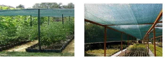 JAKS TIENIACA SIEŤ ZELENÁ 1,5 M x 50 M, 90% TIEŇA