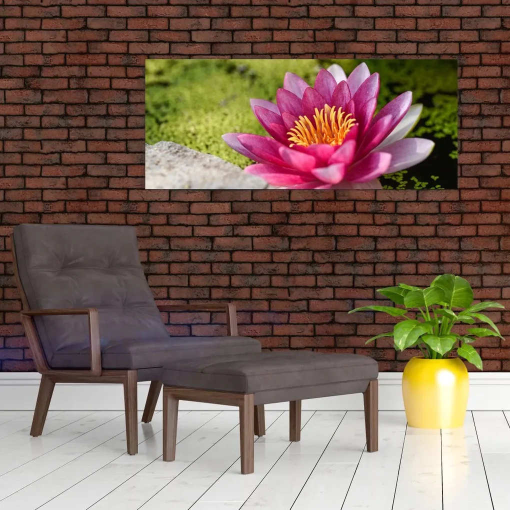 Obraz - Lekno (120x50 cm)