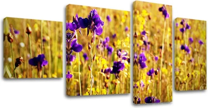 Obraz na stenu 4 dielny KVETY KV088E40 - 90x50 cm