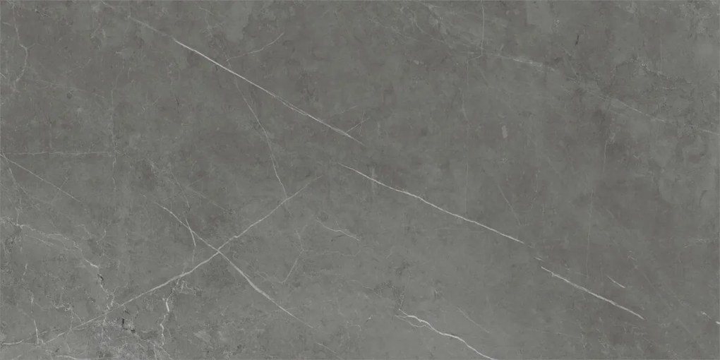 Dlažba Tessino Grey Natural 60x120 R