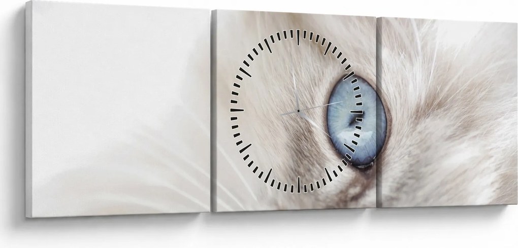 Obraz - Mačka s modrými očami (s hodinami) (90x30 cm)
