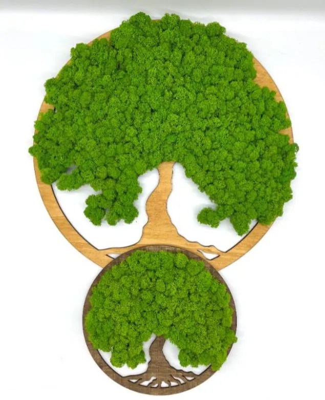 Strom na stenu z machu Melusine 50 cm