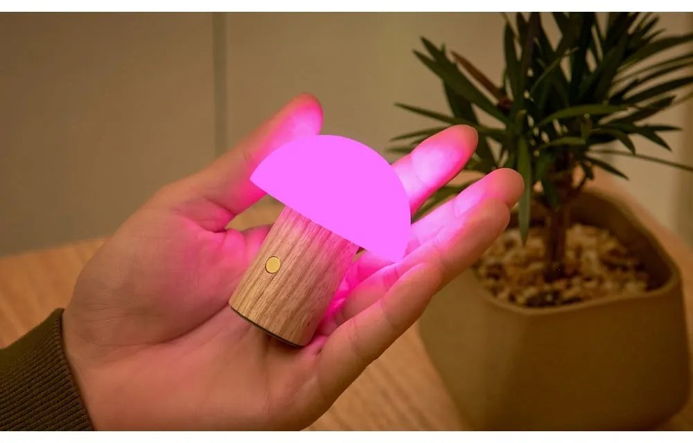 LED stolová lampa z jaseňového dreva so stmievačom v prírodnej farbe (výška 7 cm) Alice – Gingko