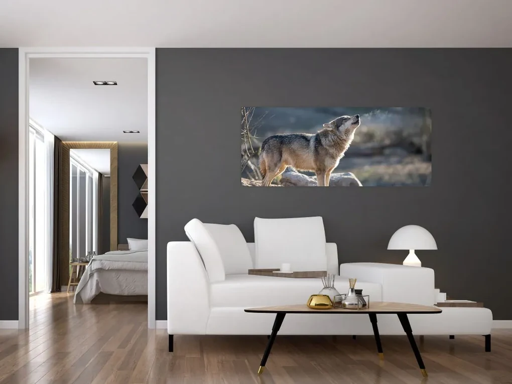 Obraz - Vyjúci vlk (120x50 cm)