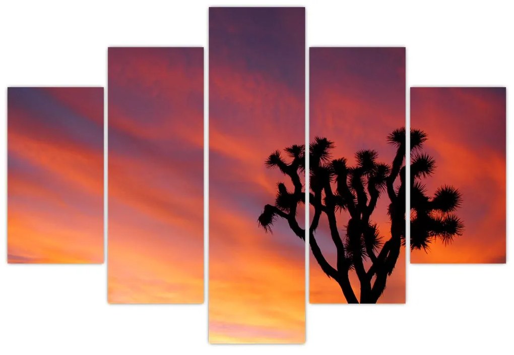 Obraz západu slnka nad siluetou stromu (150x105 cm)