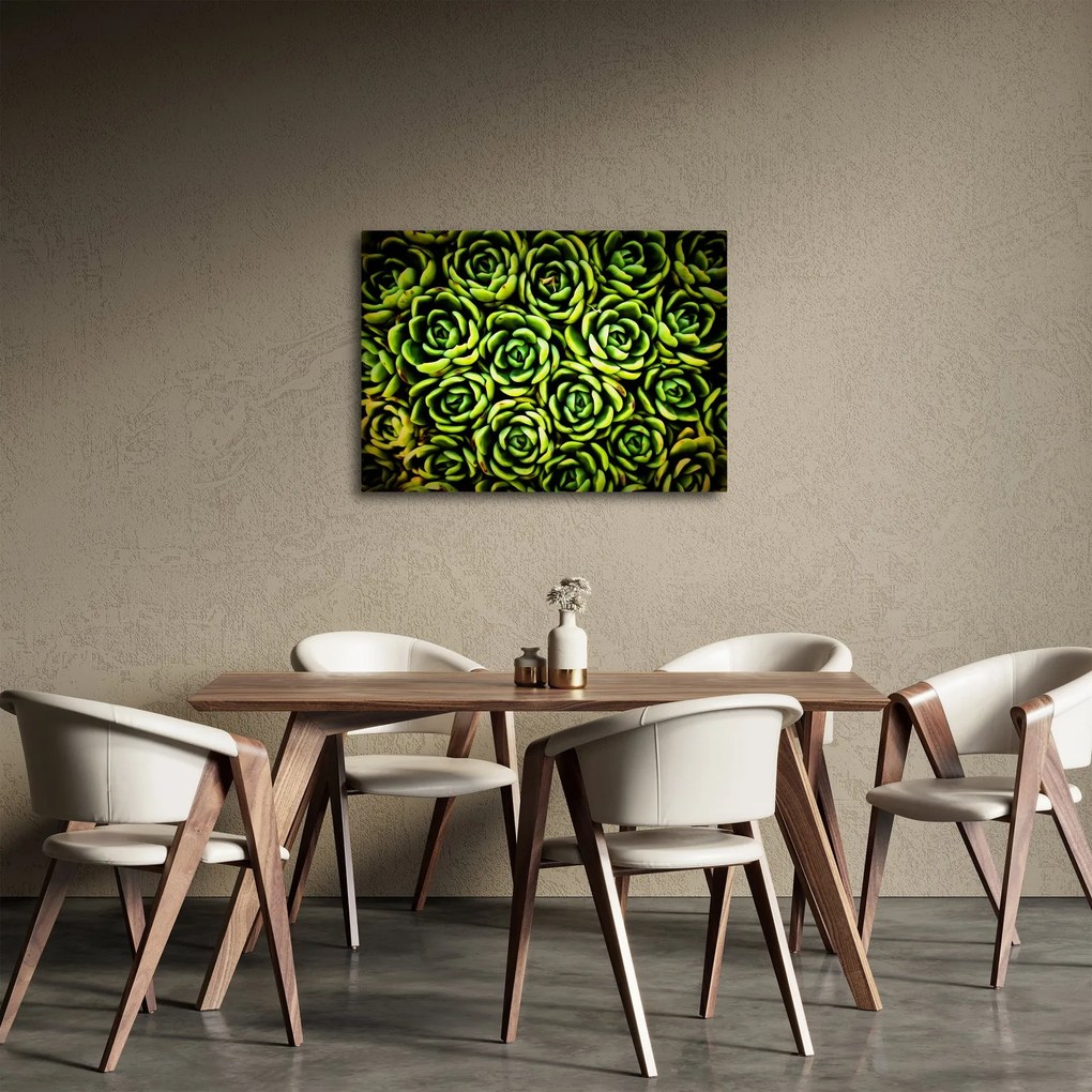 Obraz skalníc (70x50 cm)