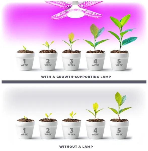 LED Žiarovka na rast rastlín PLANTY E27/40W/230V 1200K