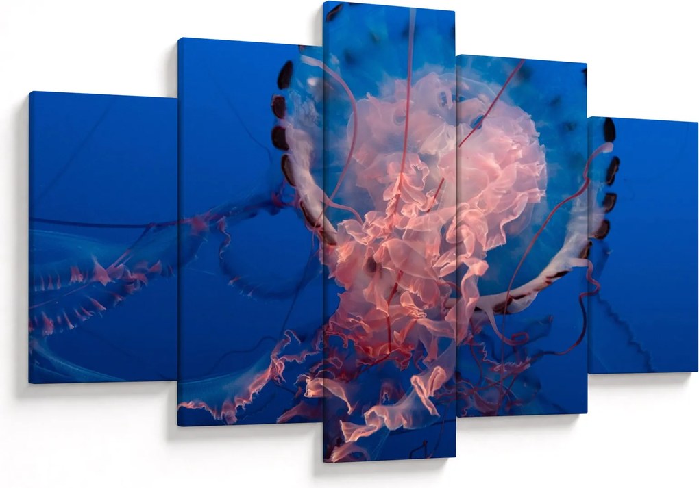 Obraz medúzy (150x105 cm)