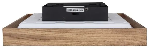 Globo 41595D1-LED Stropné svietidlo CINDERELLA LED/12W/230V 30 cm 2700/4500/6500K