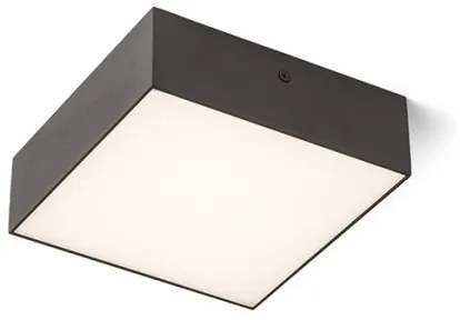 RENDL LARISA SQ 17 stropná čierna 230V LED 15W 3000K R12849