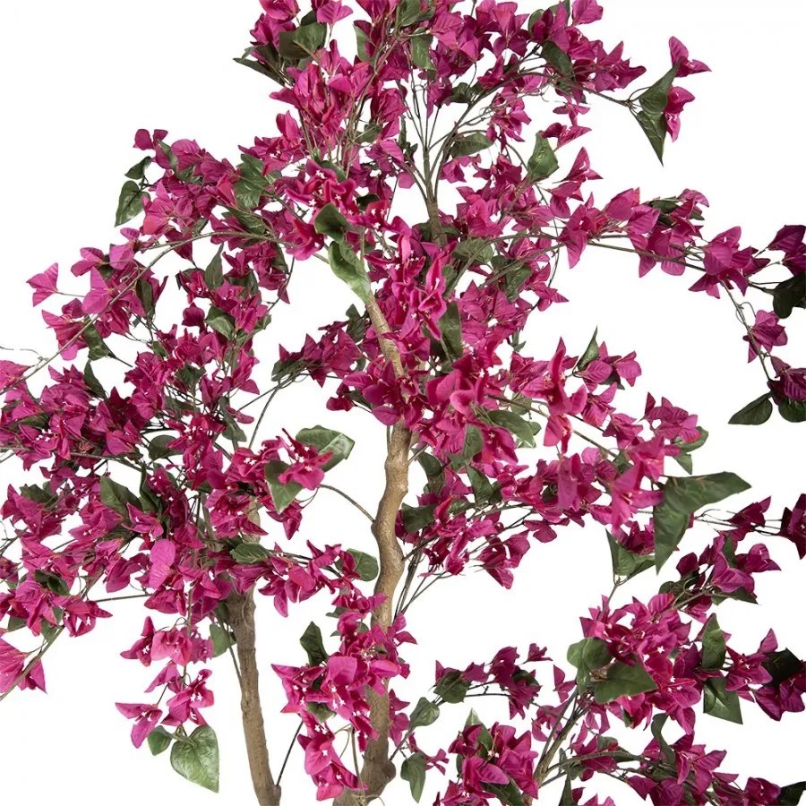 Stromček s ružovými kvetmi Bougainvillea Tree - 80*80*180 cm
