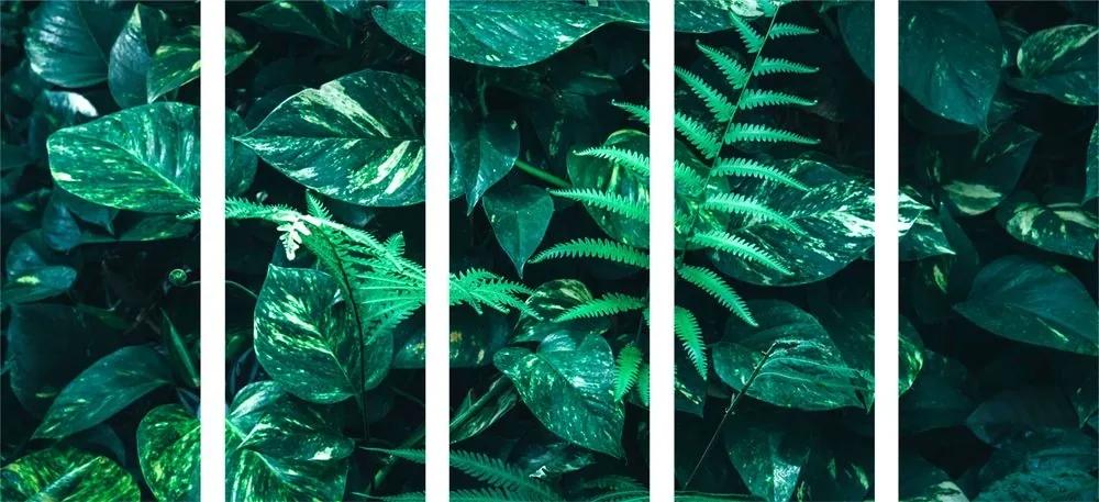 5-dielny obraz svieže tropické listy - 100x50