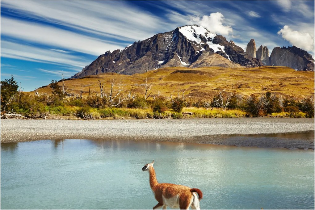 Obraz - Národný park Torres del Paine (90x60 cm)