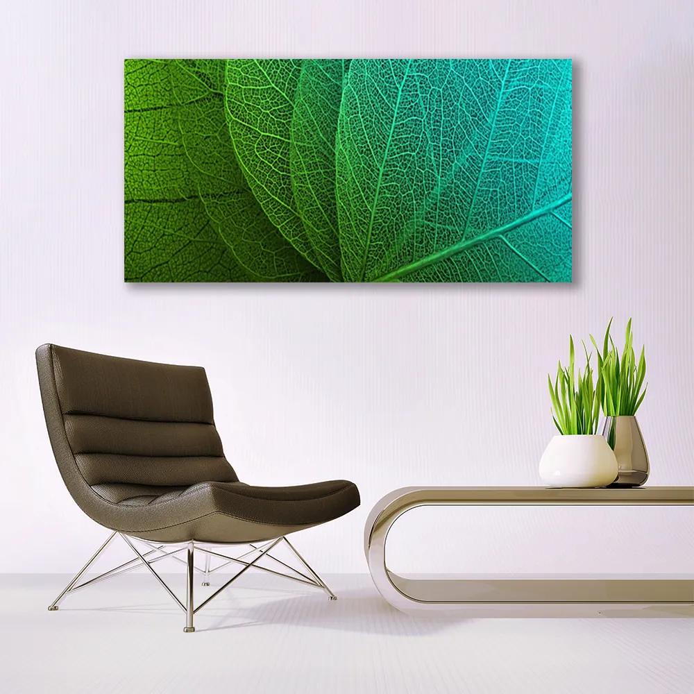 Obraz na akrylátovom skle Abstrakcie listy rastlina 120x60 cm