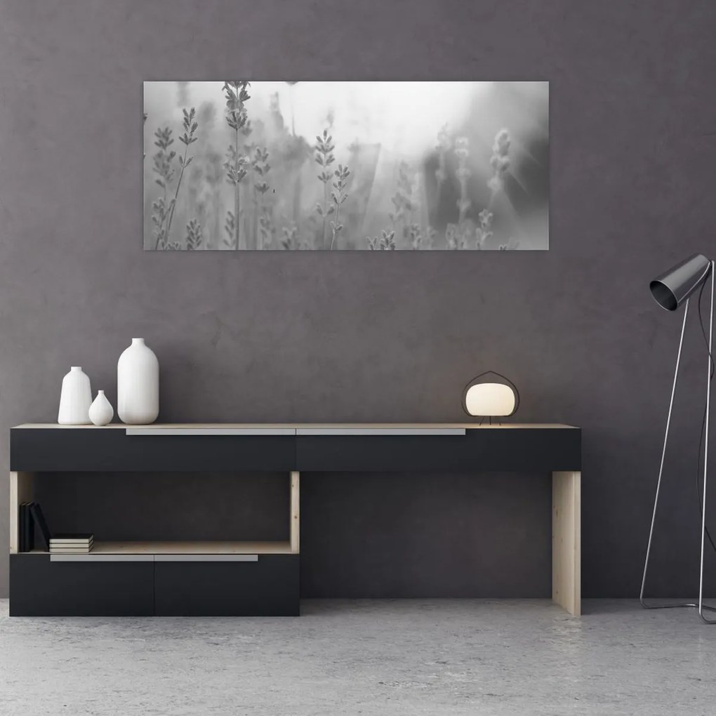 Obraz - Levanduľa (120x50 cm)