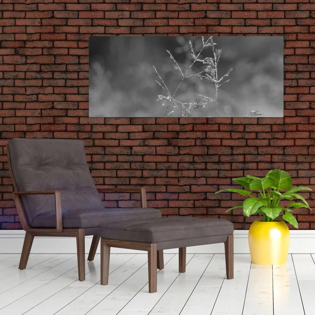 Obraz - Vidiecka lúka (120x50 cm)