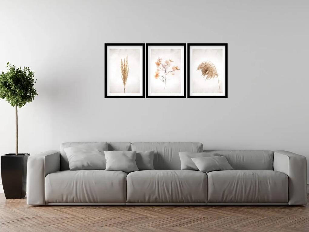 Gario Sada plagátov Dry nature - 3 dielna Farba rámu: Rustikálna, Veľkosť: 135 x 63 cm