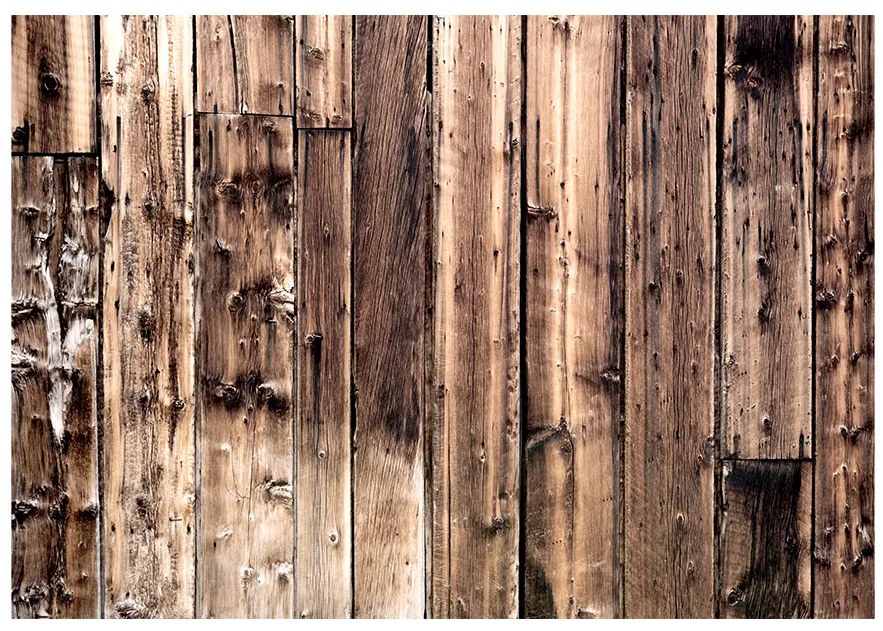Artgeist Fototapeta - Poetry Of Wood Veľkosť: 147x105, Verzia: Samolepiaca