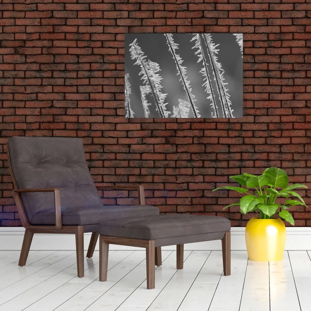 Sklenený obraz - Mrazivá zima (70x50 cm)