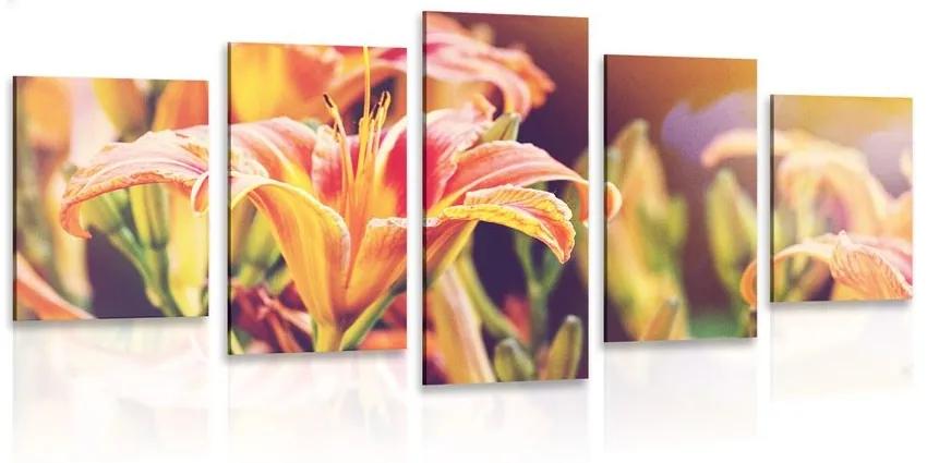 5-dielny obraz krásne kvitnúce kvety v záhrade - 200x100