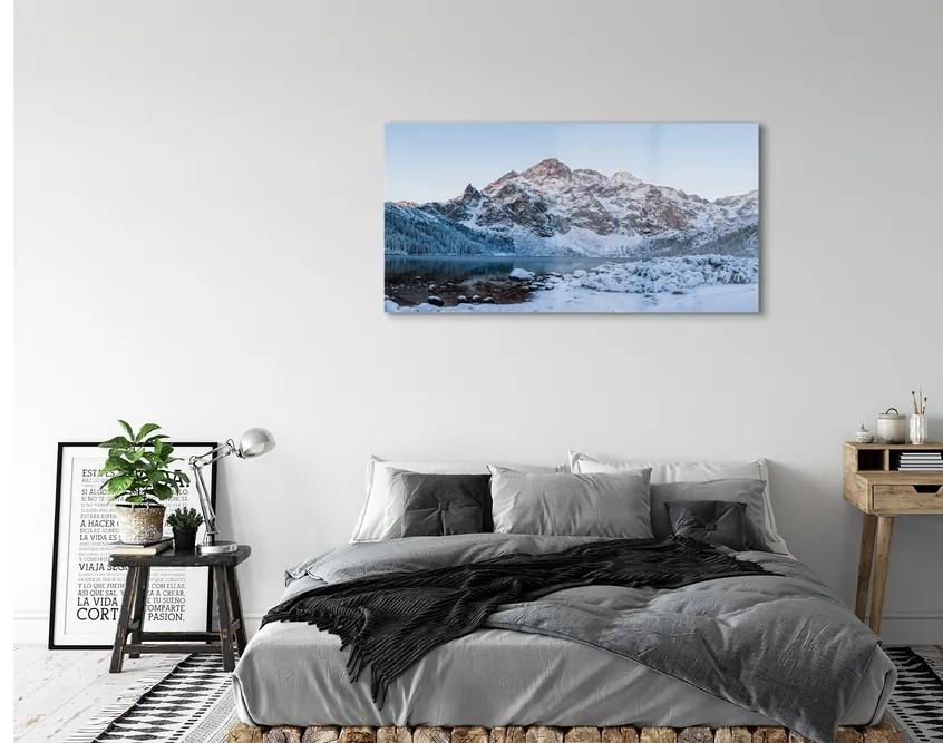 Obraz plexi Horské zimné jazero 125x50 cm