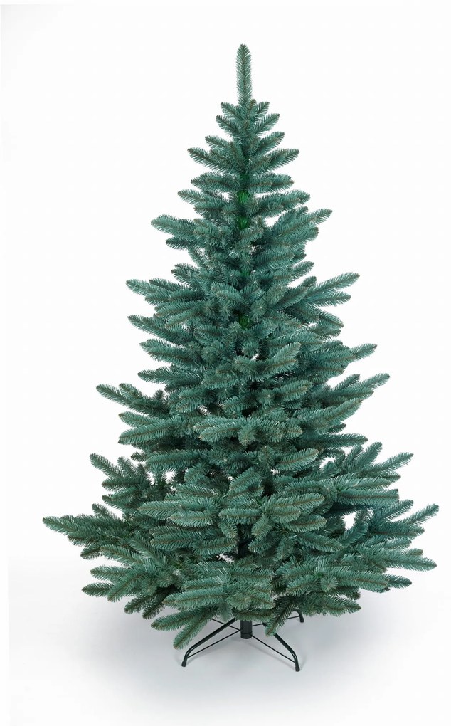 Jedlička strieborná 150cm