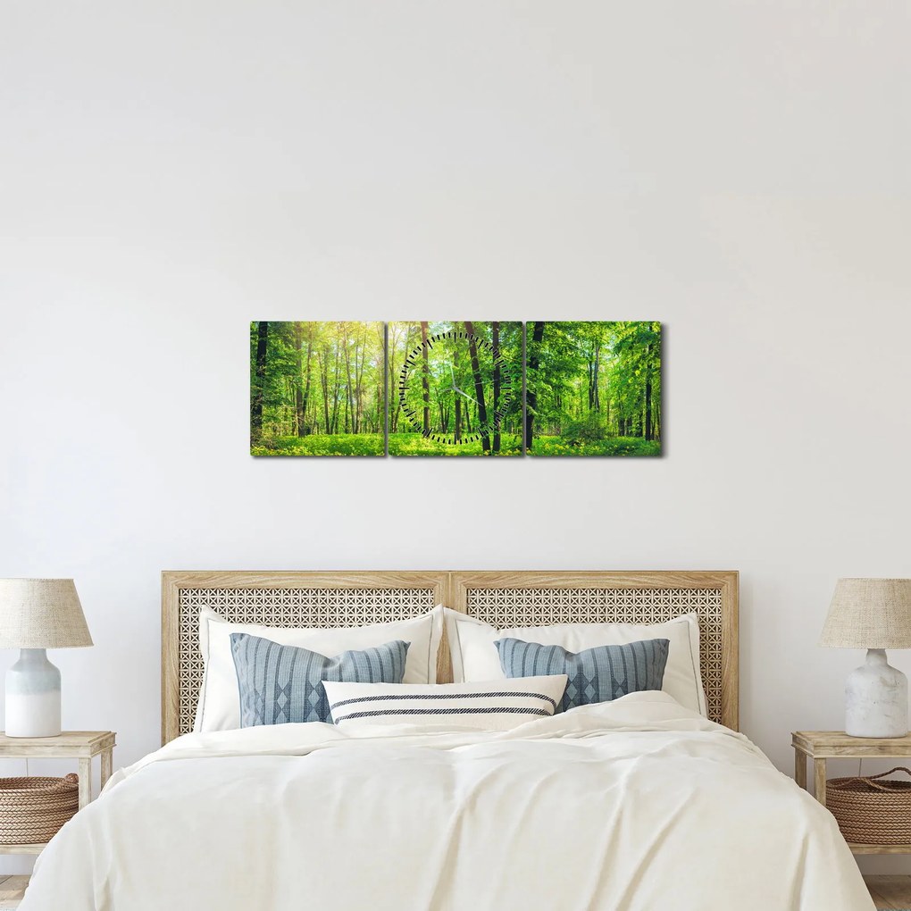 Obraz - Jarný listnatý les (s hodinami) (90x30 cm)