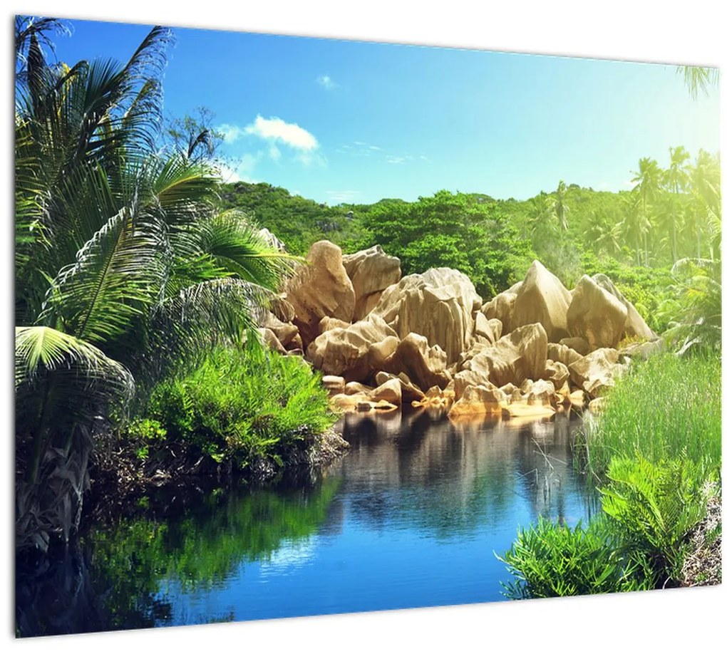 Sklenený obraz jazera v Seychelskej džungli (70x50 cm)