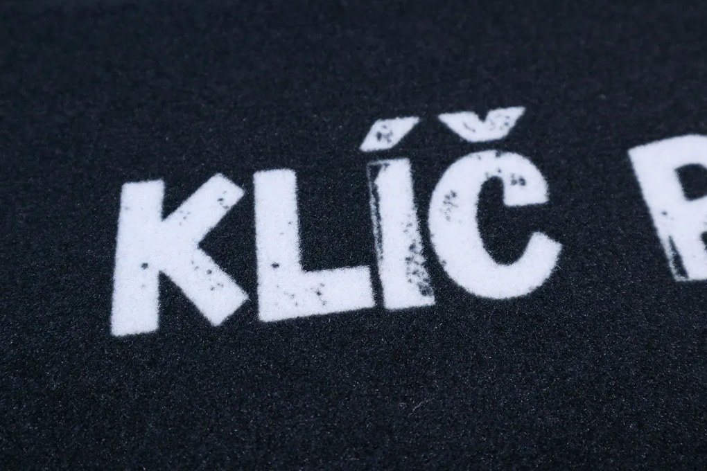 Mercury Flooring, Rohožka Kľúč podo mnou nenájdeš 40x60 cm, 40x60, čiernobiela