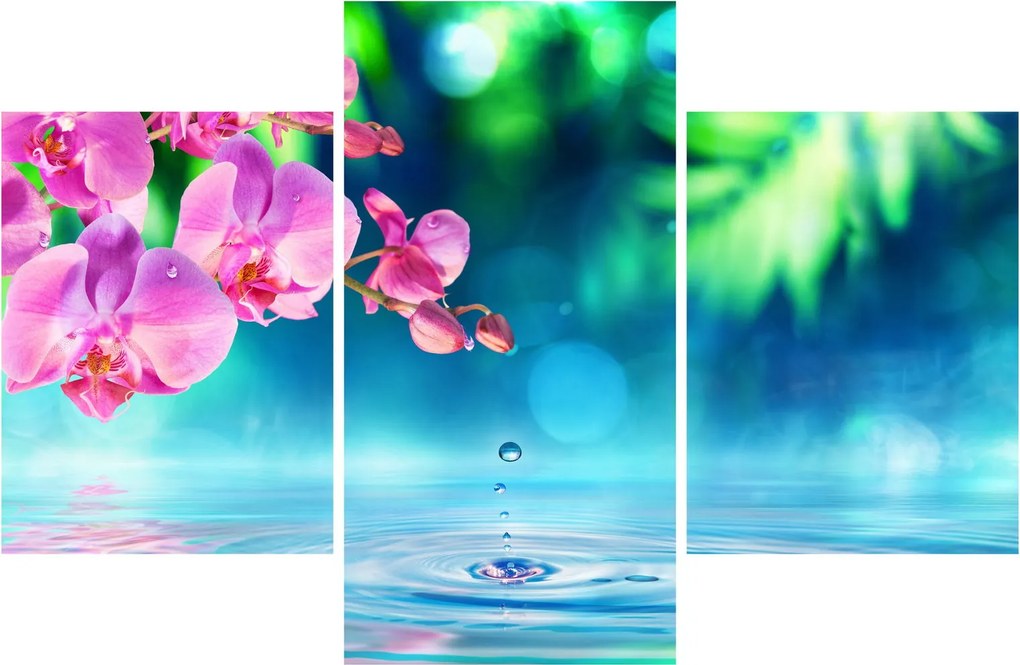Obraz - Orchidea (90x60 cm)