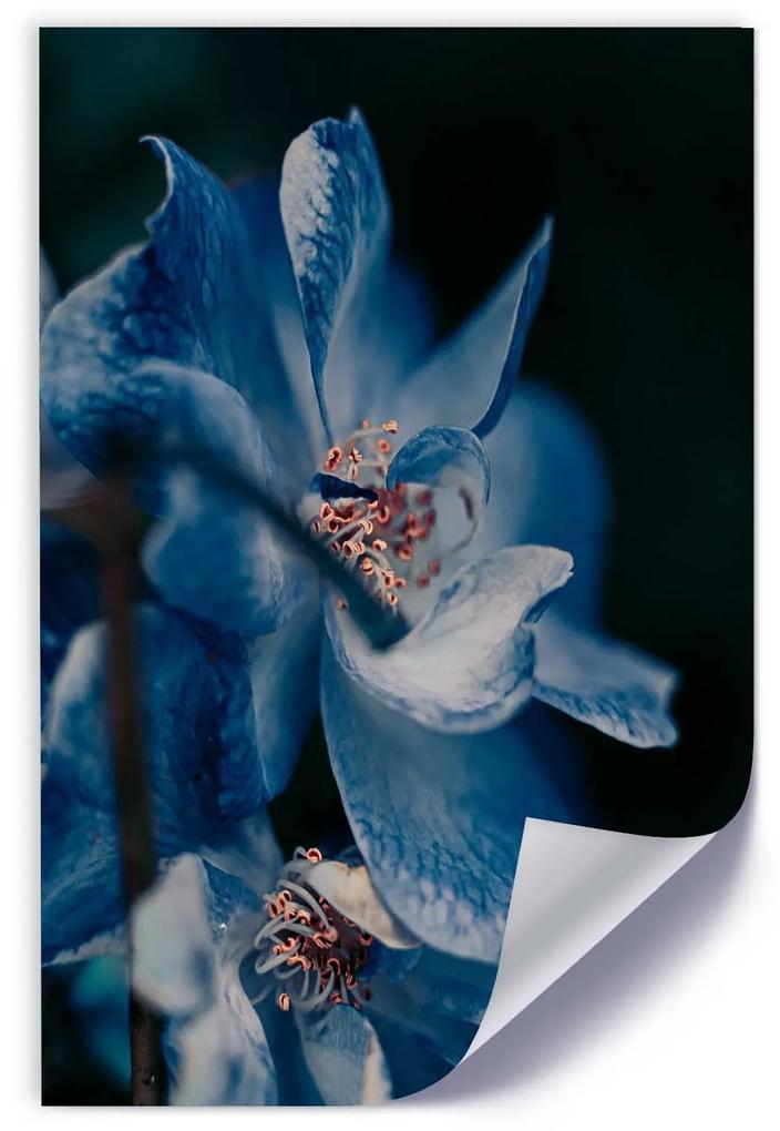 Gario Plagát Detailný záber na modrý kvet Farba rámu: Bez rámu, Rozmery: 20 x 30 cm