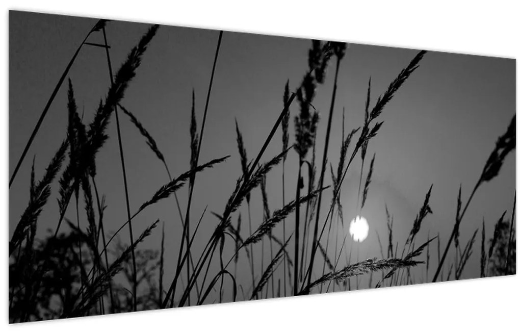 Obraz - Lúka so západom slnka (120x50 cm)