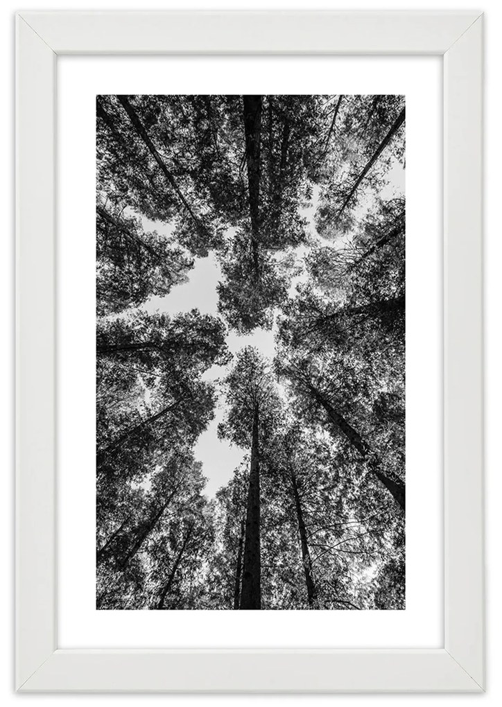 Gario Plagát Koruny stromov Farba rámu: Bez rámu, Rozmery: 20 x 30 cm