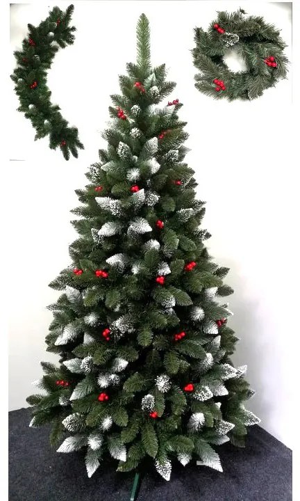 Limpol Borovica Iza s červenými bobuľami 1,20 m