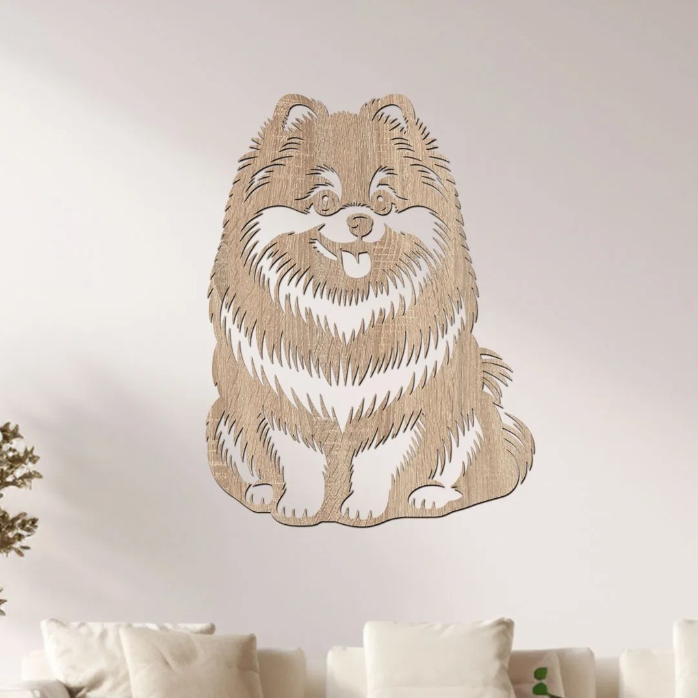 dřevo života Drevený obraz psa Pomeranian Rozmery - cm: 45x60, Zvoľte farbu dekoru: Buk