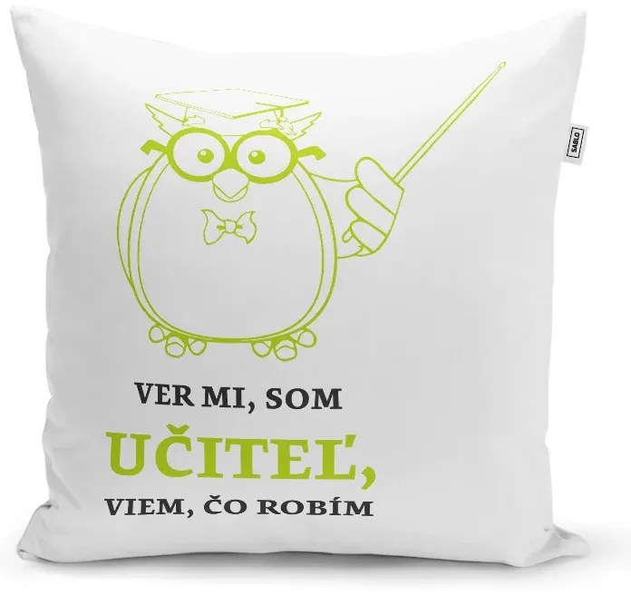Sablio Vankúš Ver mi, som učiteľ, viem, čo robím: 40x40 cm