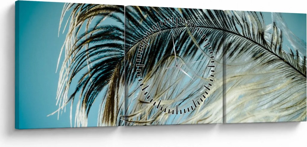 Obraz pierka (s hodinami) (90x30 cm)